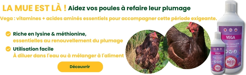 Vega – Vitamines et acides aminés pour accompagner la mue